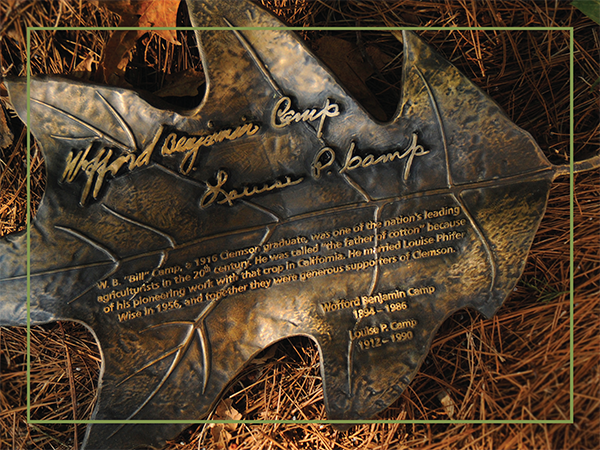 Bronze oak leaf in honor of Wofford Benjamin Camp and Louise P. Camp.