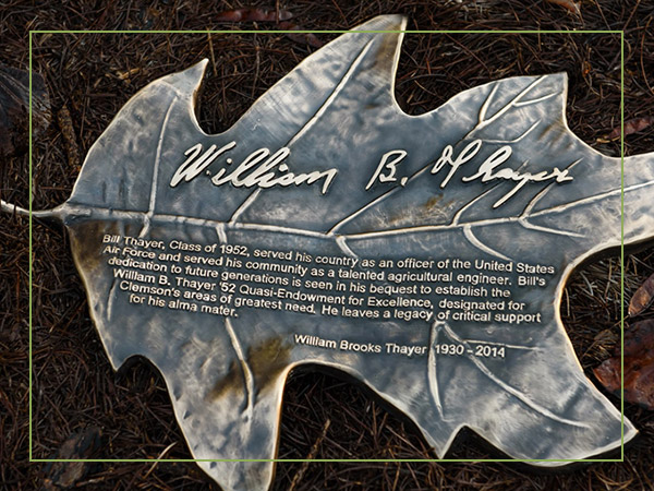 Bronze oak leaf in honor of William 'Bill' Brooks Thayer.